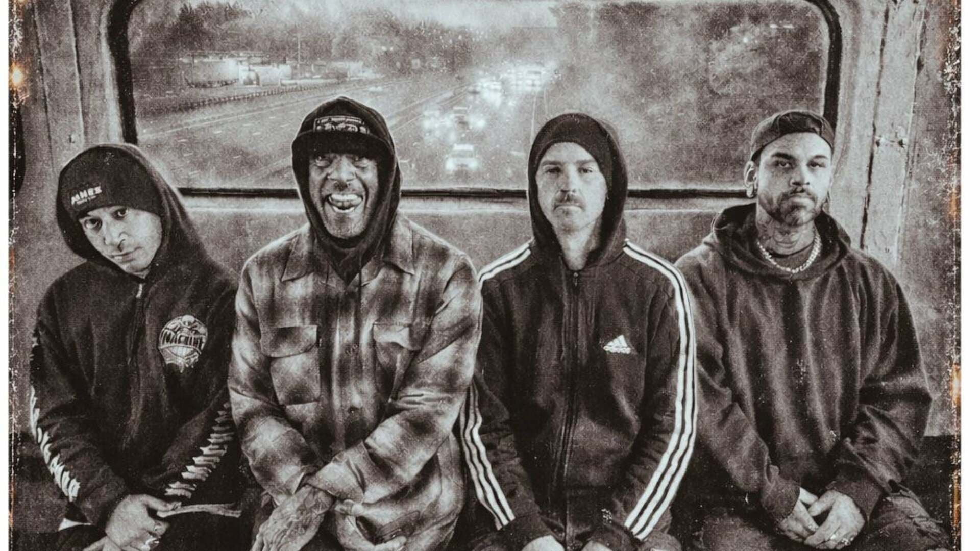 Hed Pe X Cold