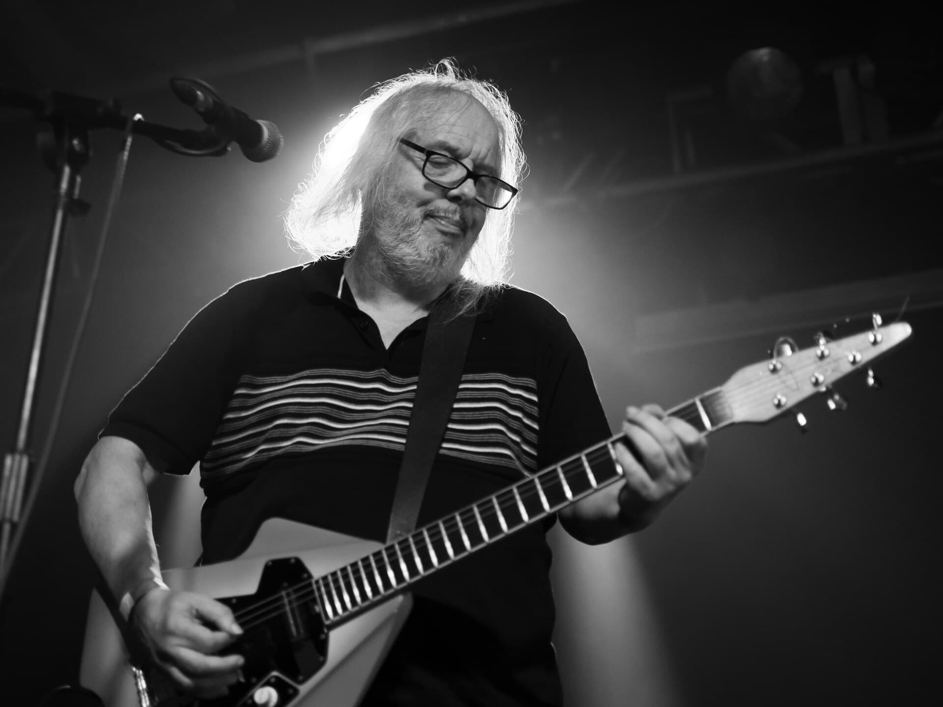 The Bevis Frond