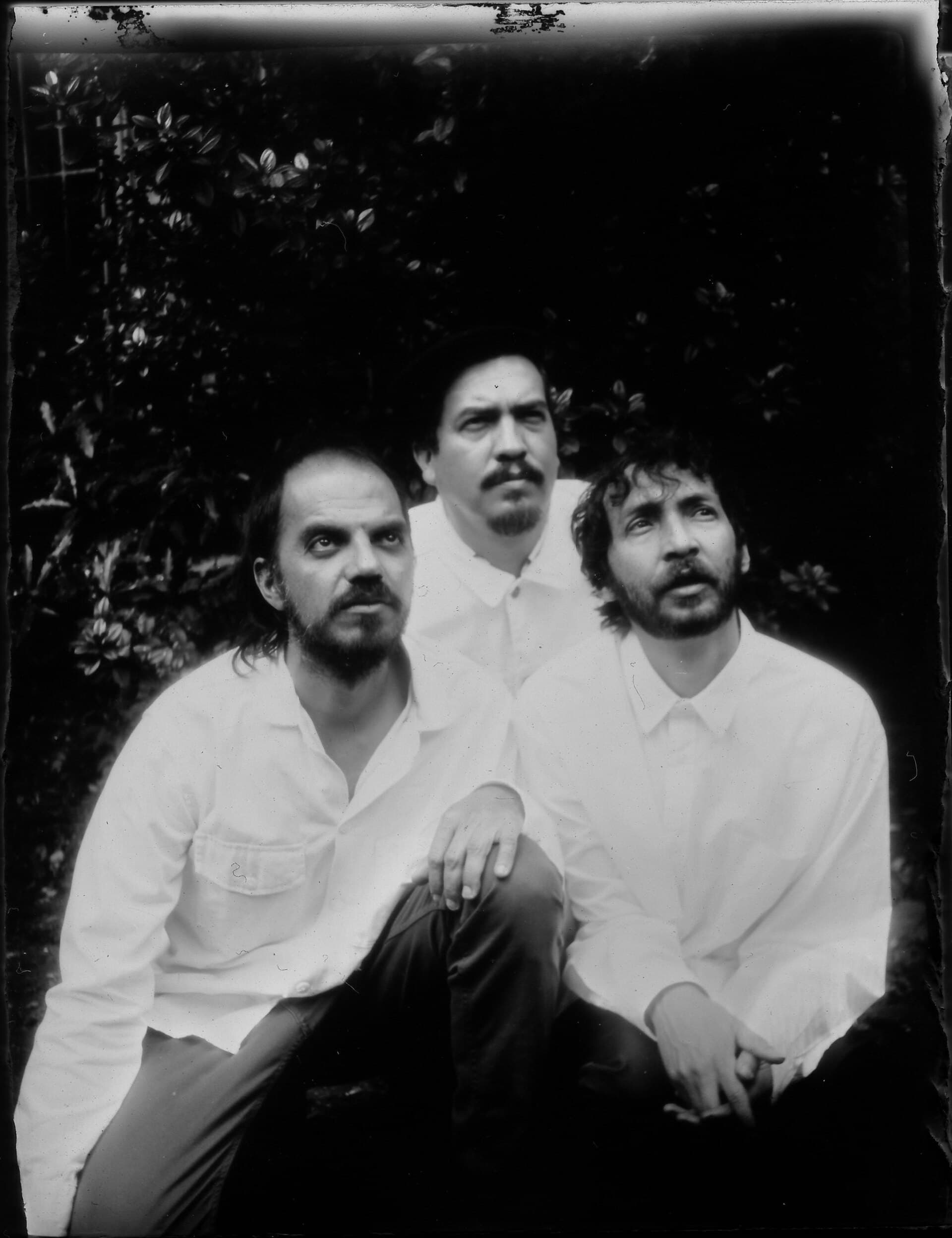 Los Pirañas
