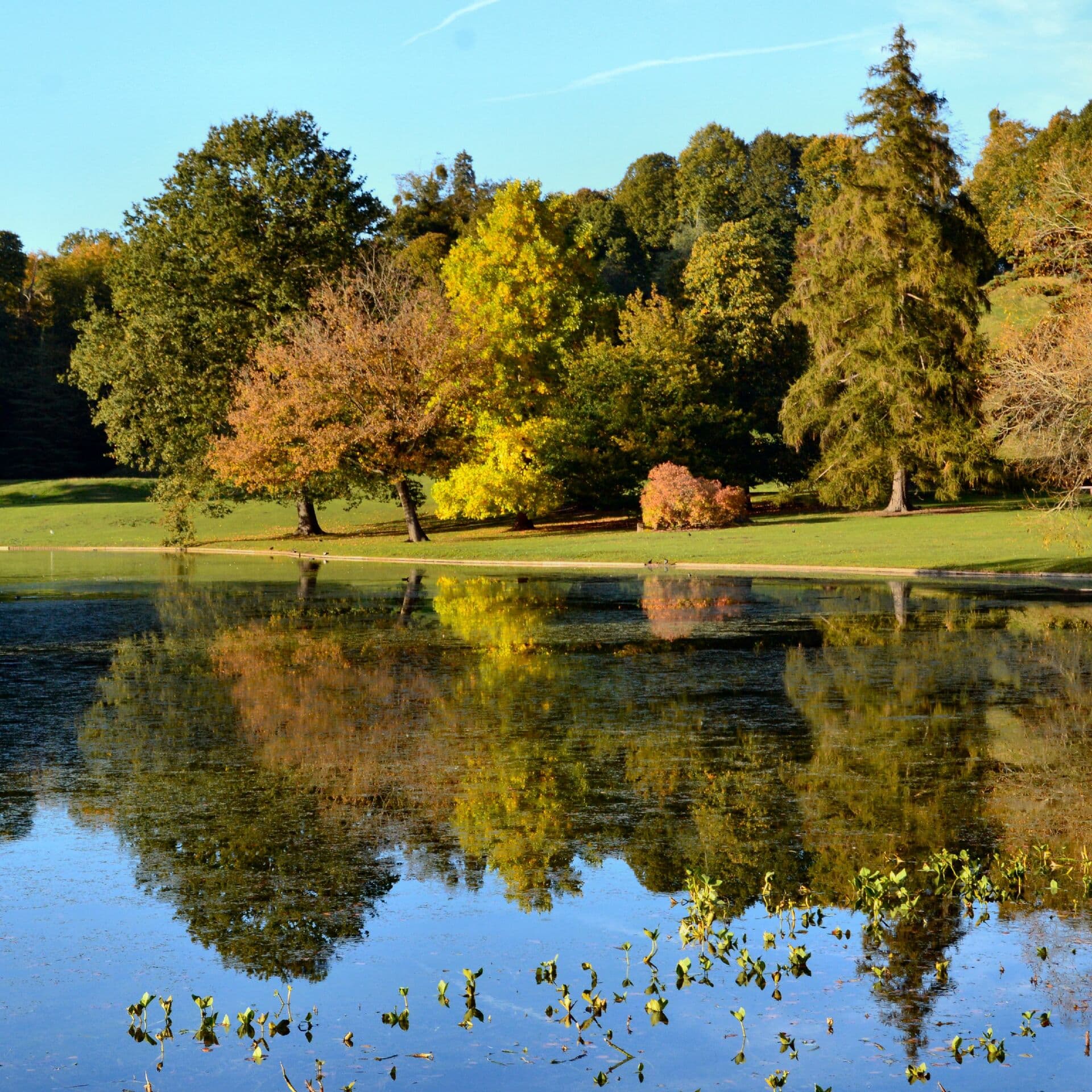 Garden History: Through the Eyes of the Designer