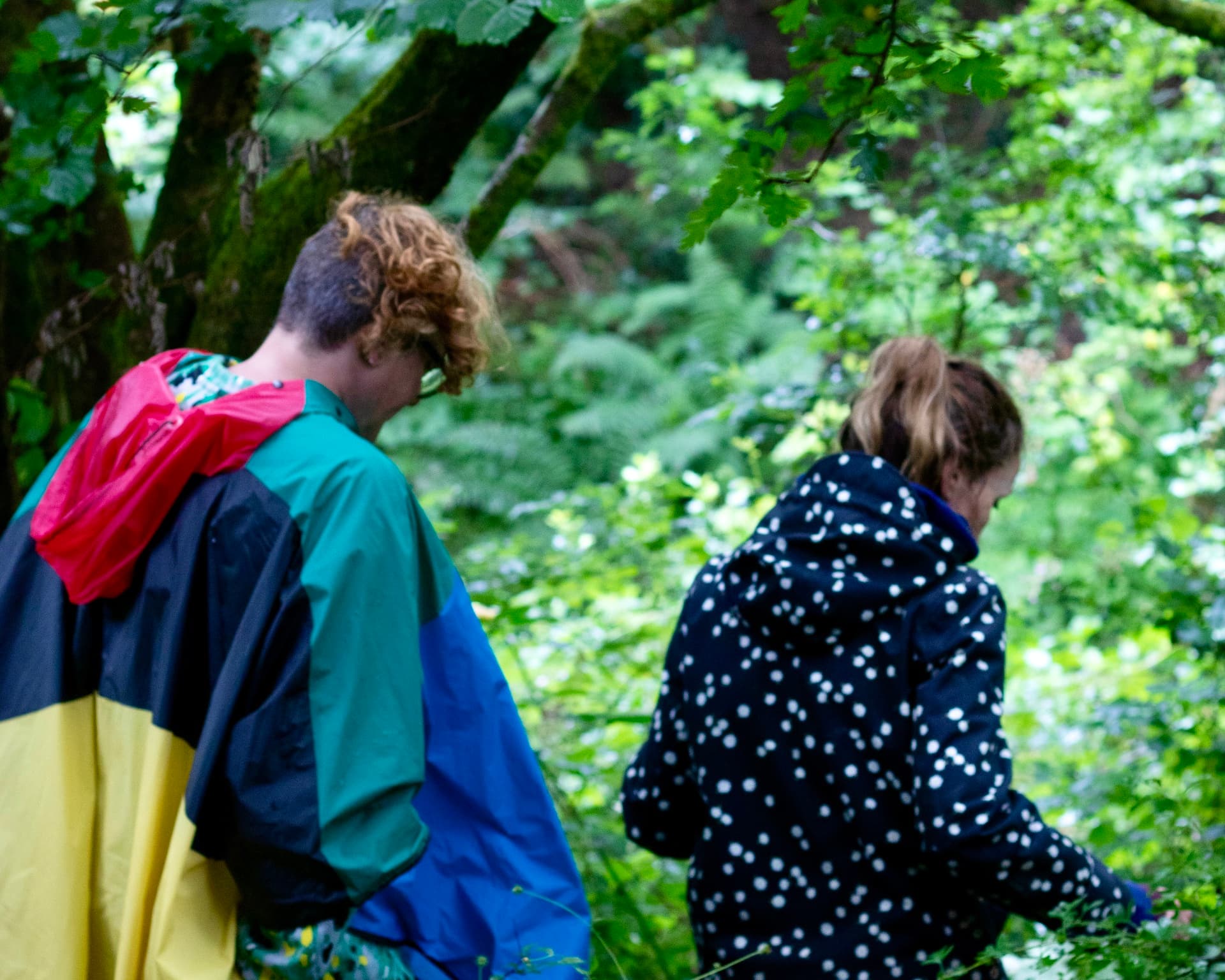 Into the Wild retreat day