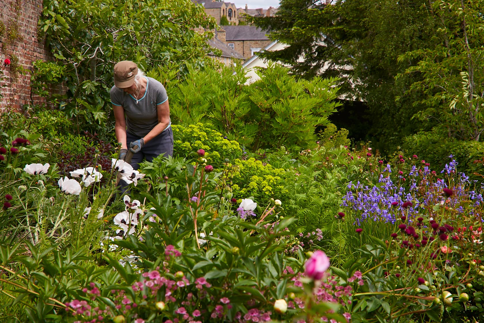Mr. Yorke's Walled Garden Open Afternoon