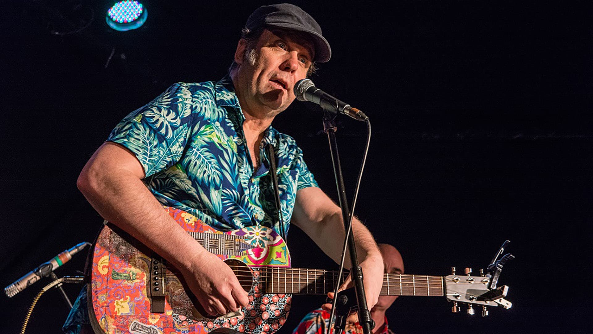 Martin Stephenson & The Daintees