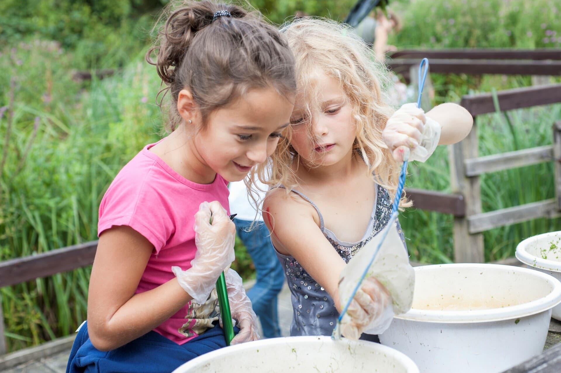 Discovery Day – Who’s on the menu?