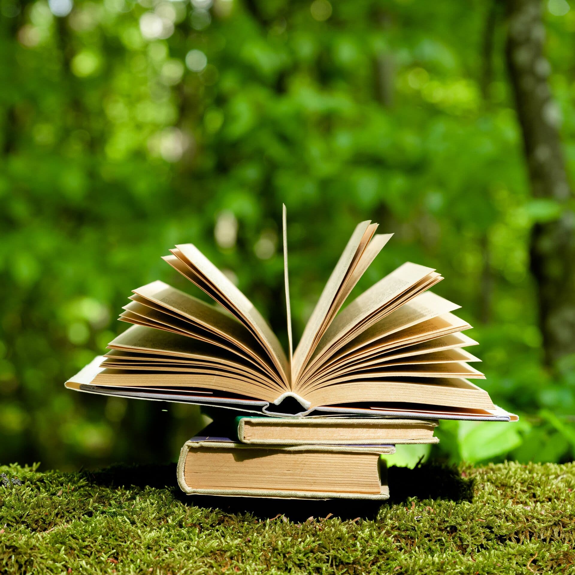 Perth Storytelling Festival: Birds and Beasts – An Evening of Storytelling