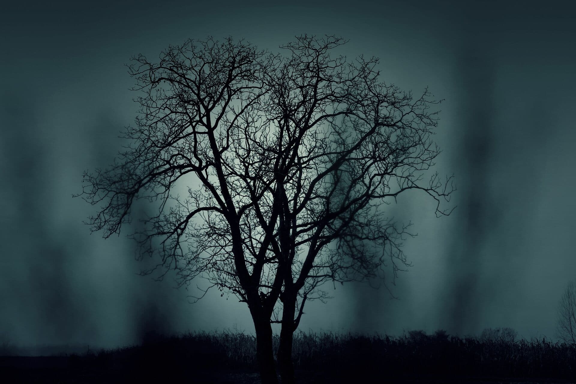 Edge-Lit 12 - horror, fantasy and sci-fi day