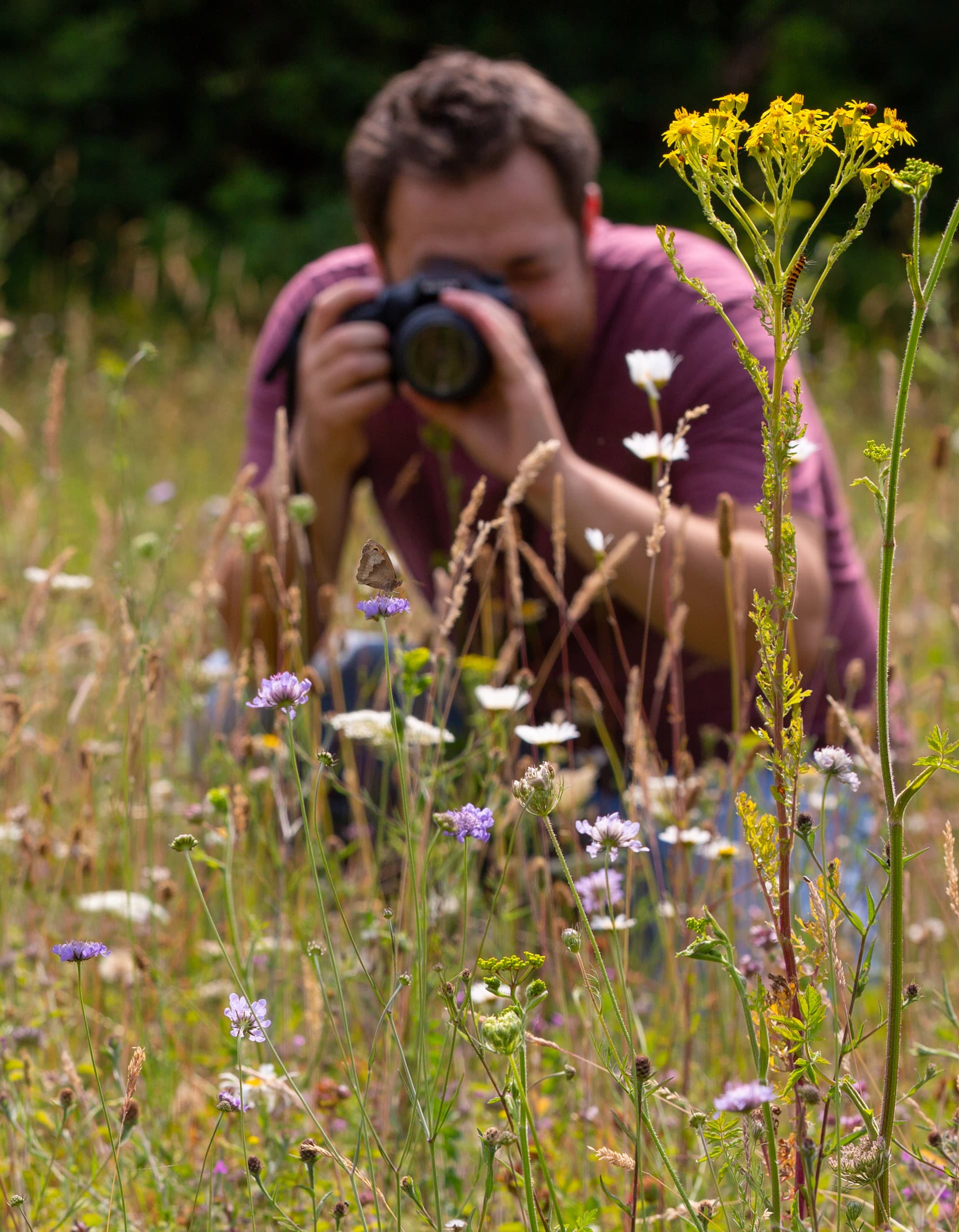 Introduction to biological recording