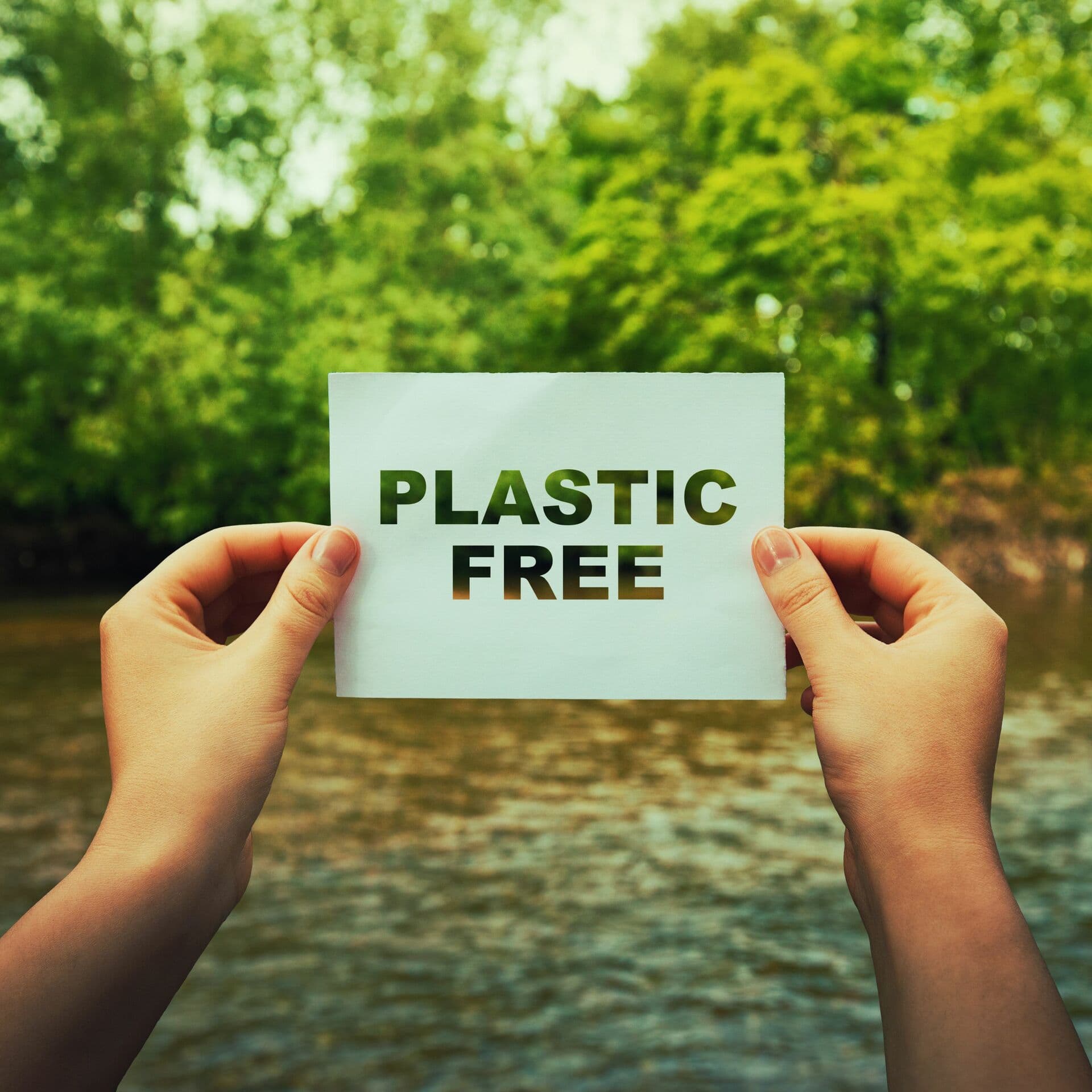 Plastic Free Beauty Day