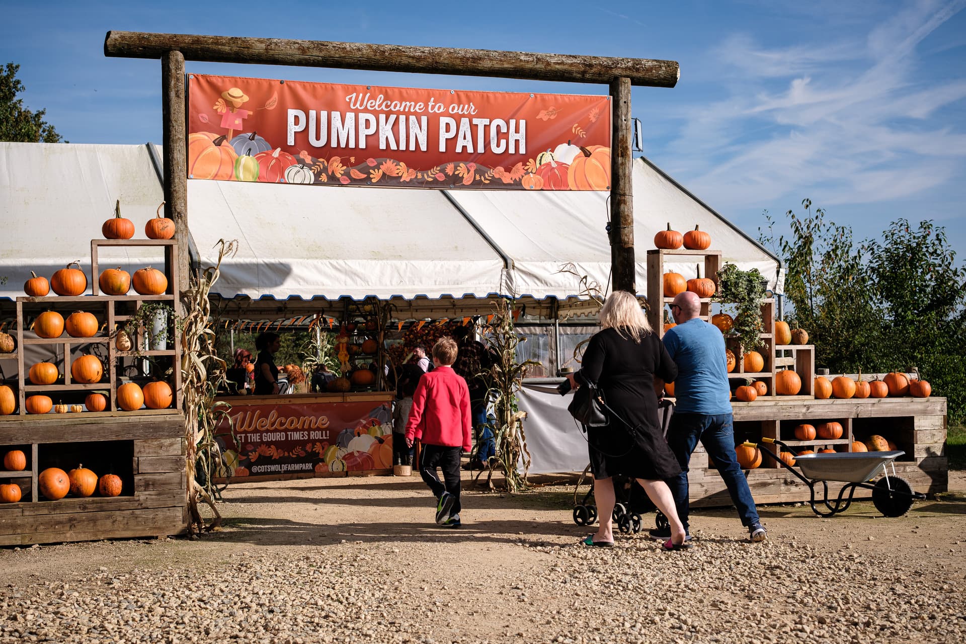 Pumpkin Patch
