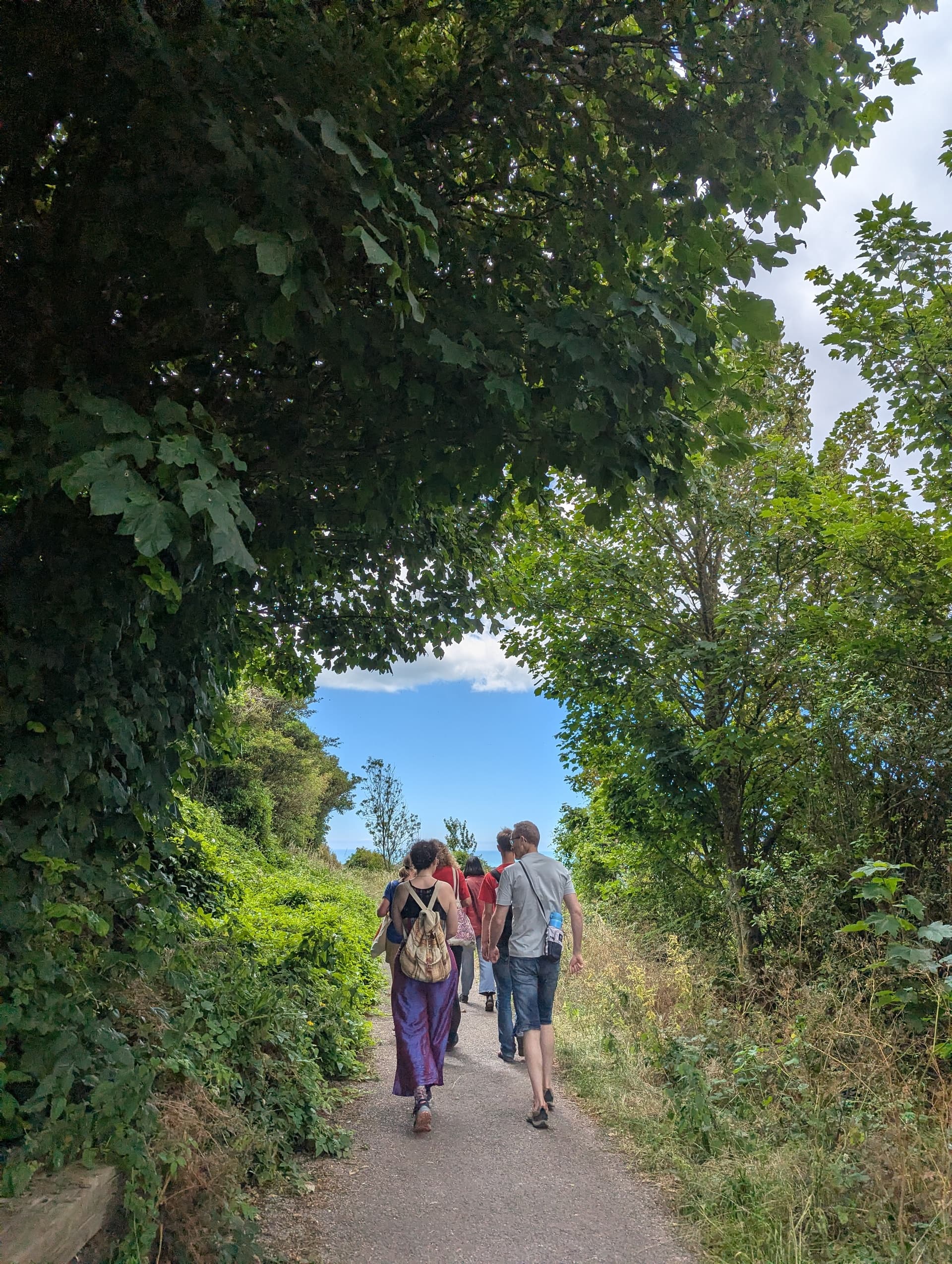 Nature Wellbeing Community Walk