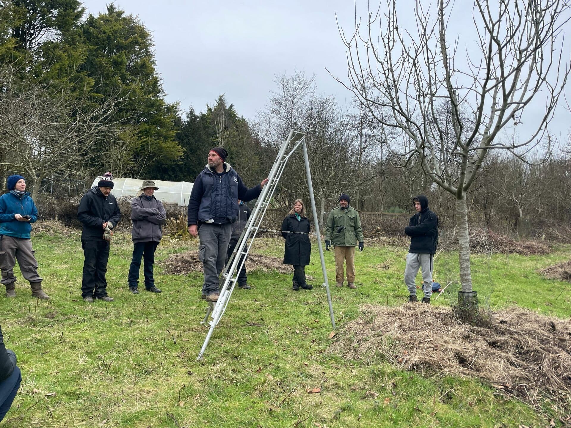 Pruning Course: Old fruit trees