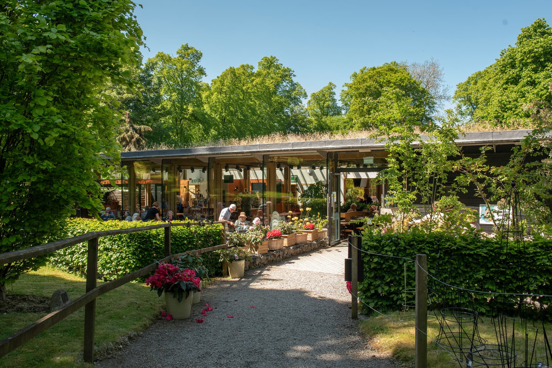 Summer Splendours at Dawyck Botanic Garden