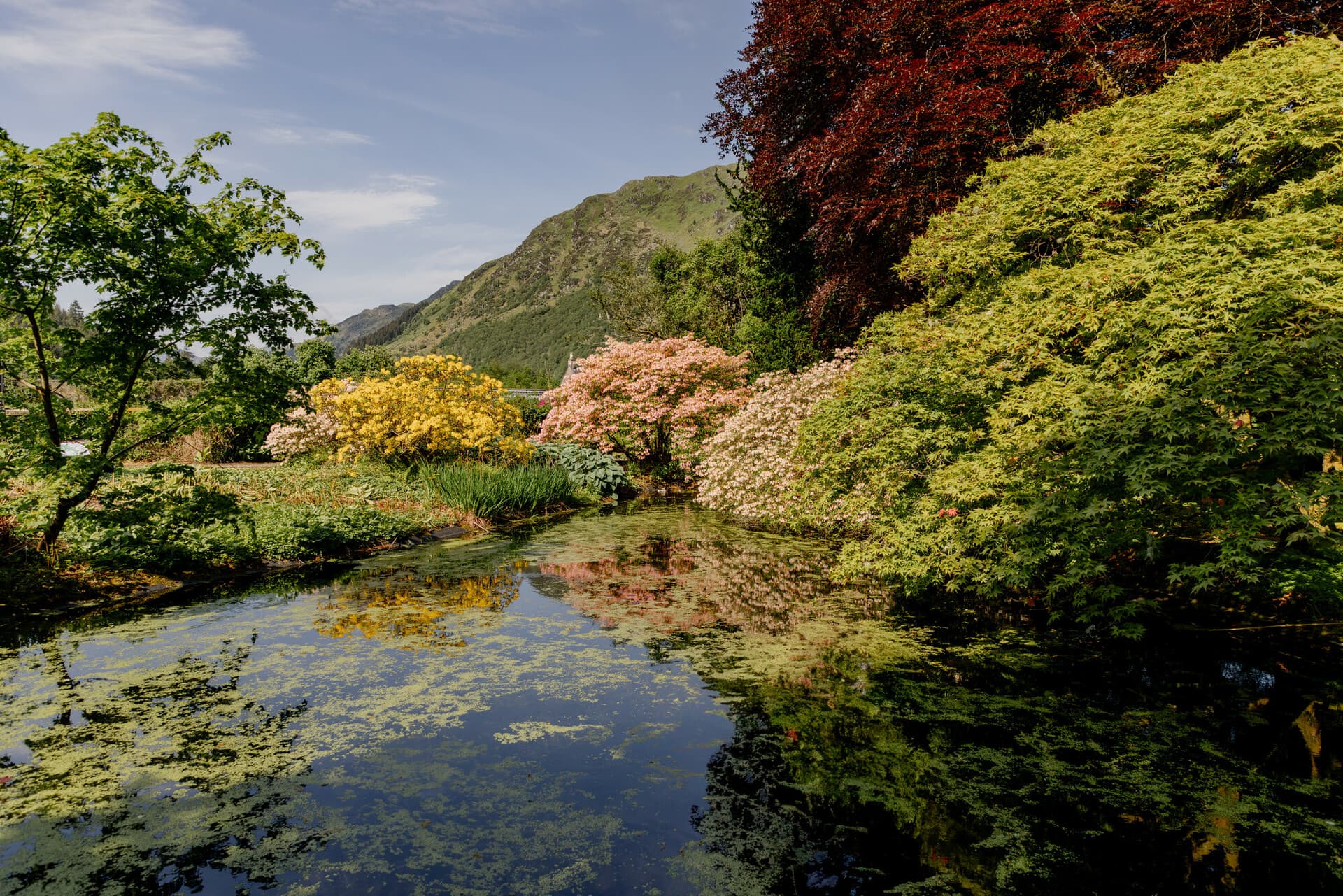 Roger Lever Images on Oak Exhibition at Logan Botanic Garden