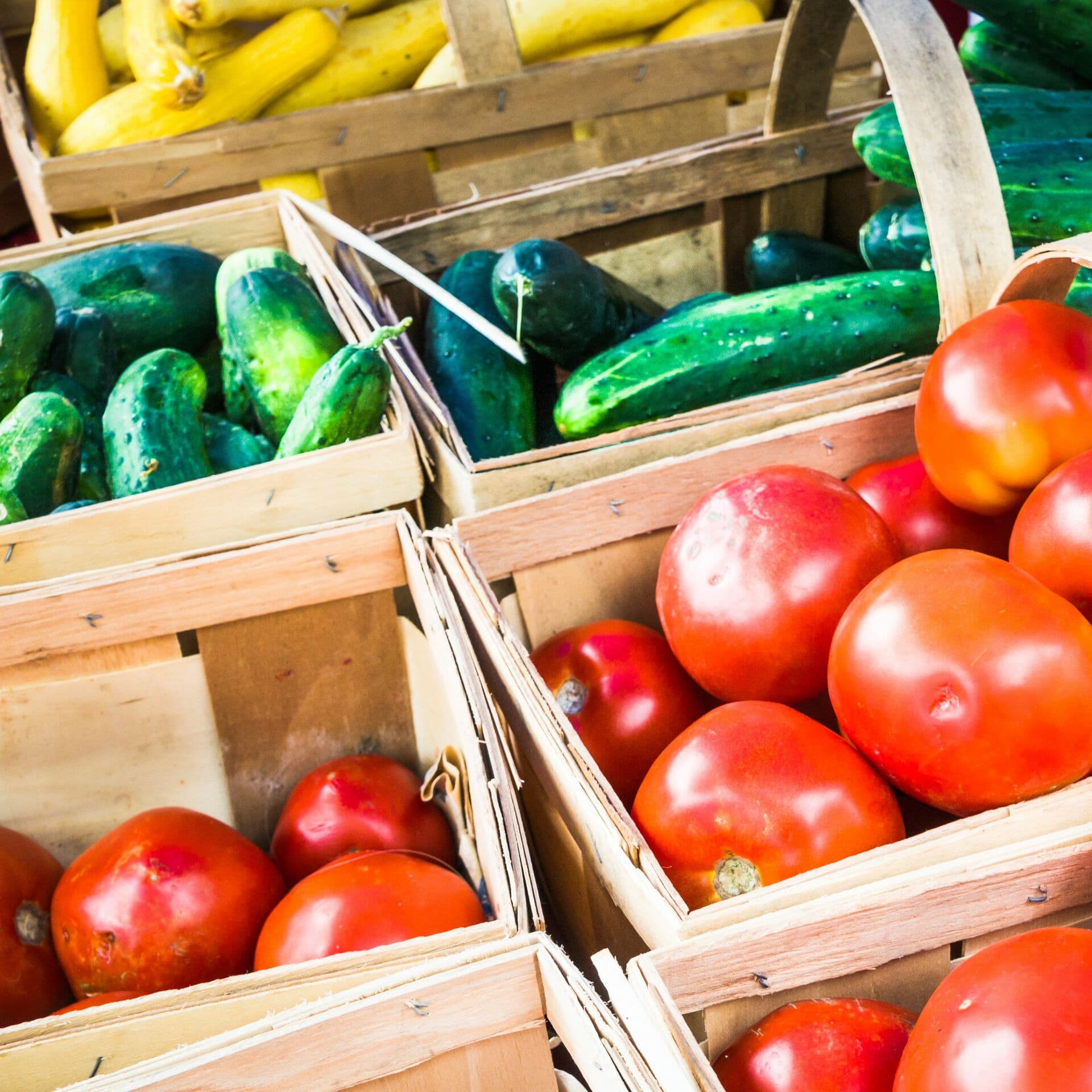 Seasonal dishes with the Seed Library