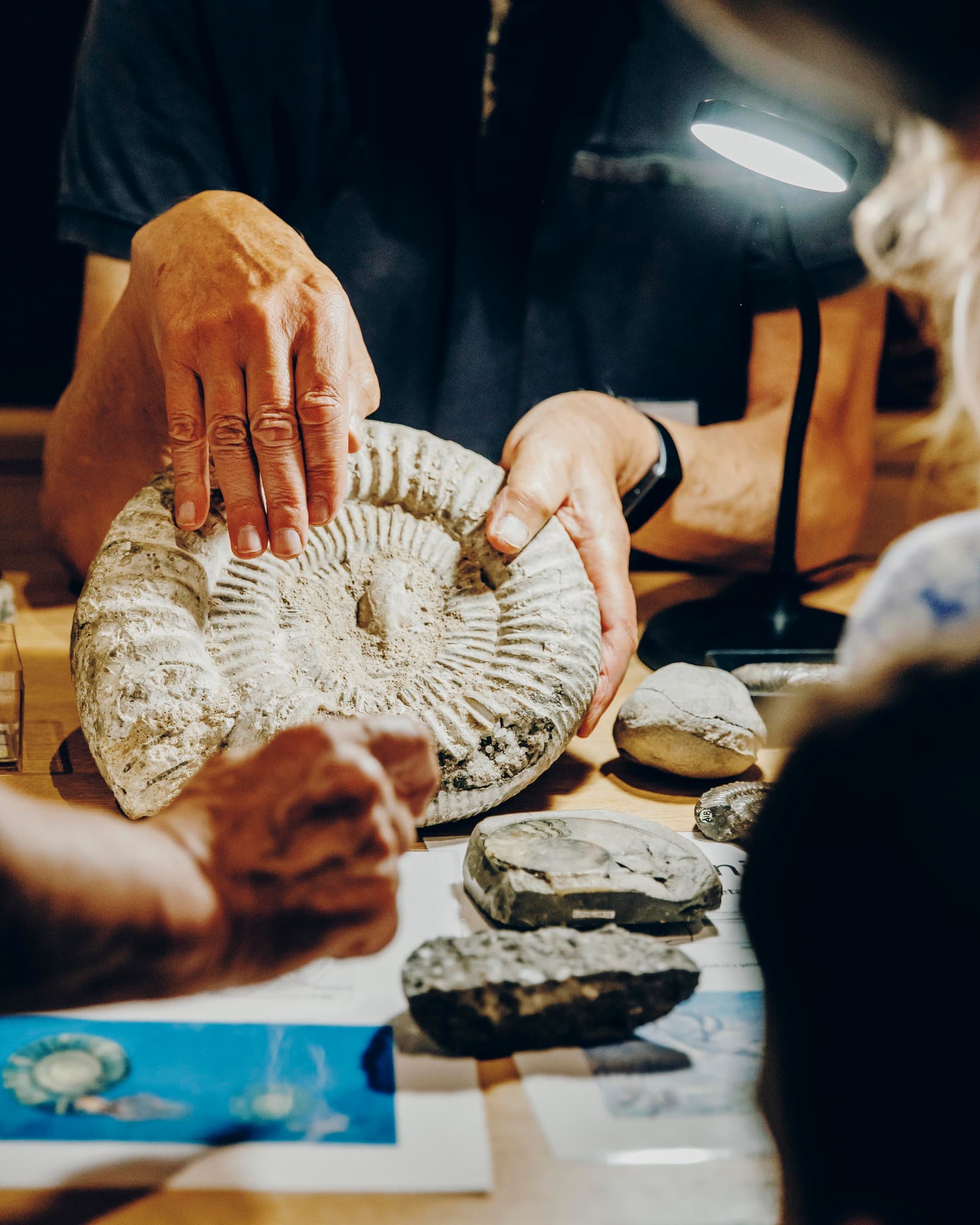 Fossil Handling with the Rotunda Geology Group