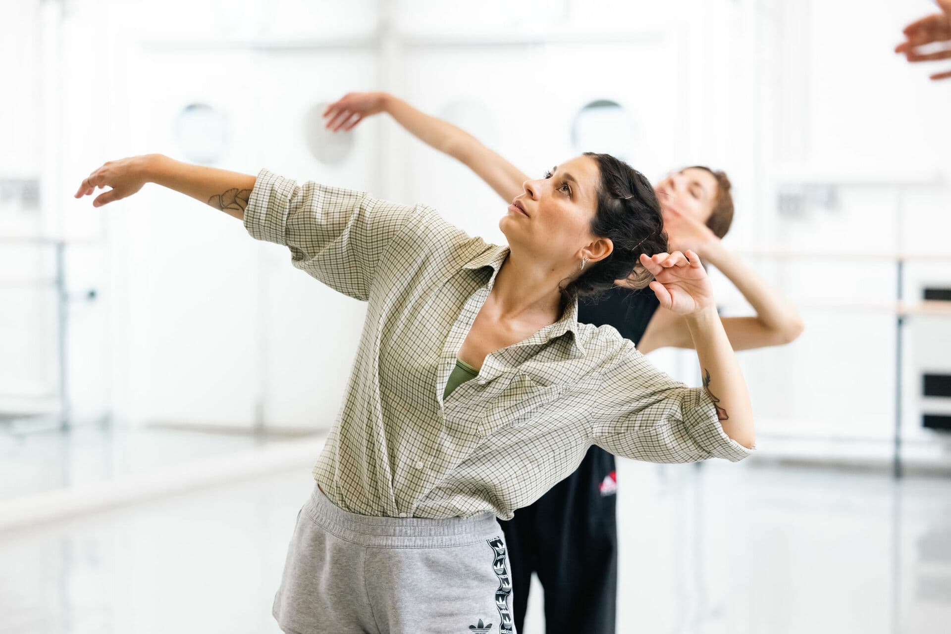 Summer Intensives for Adults: Contemporary Improvers