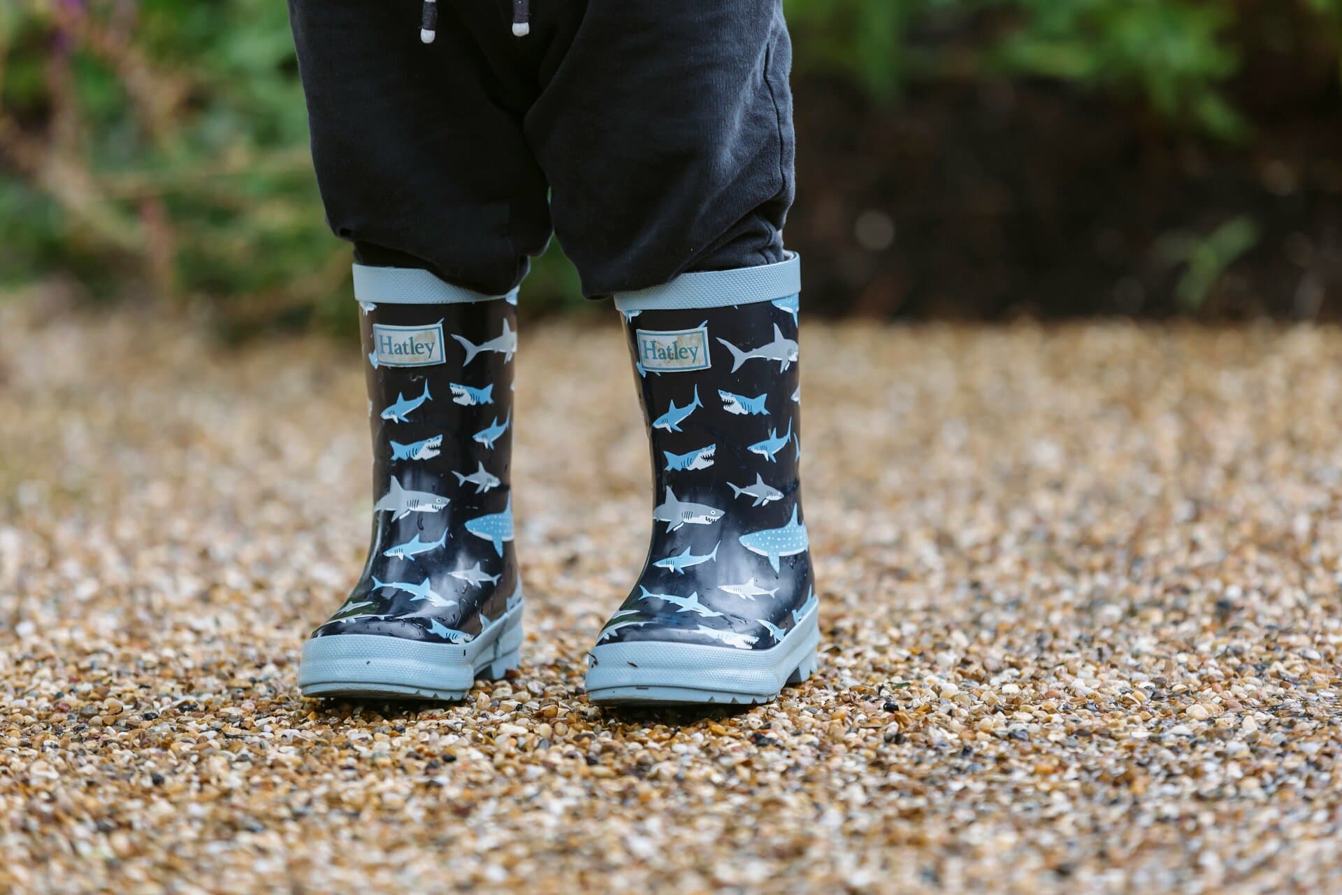 Welly Walks