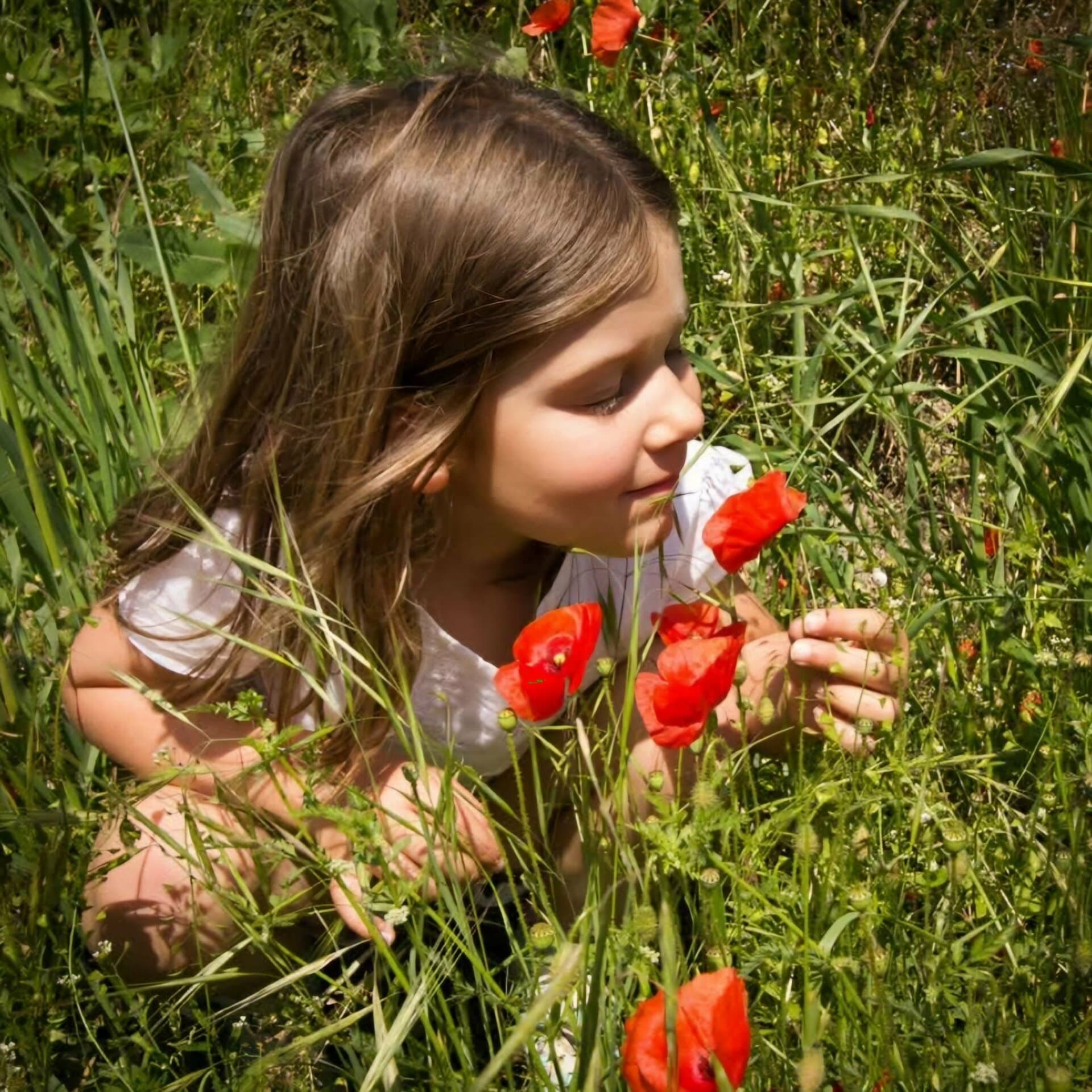 A Beginner’s DSLR Camera & Photography Workshop
