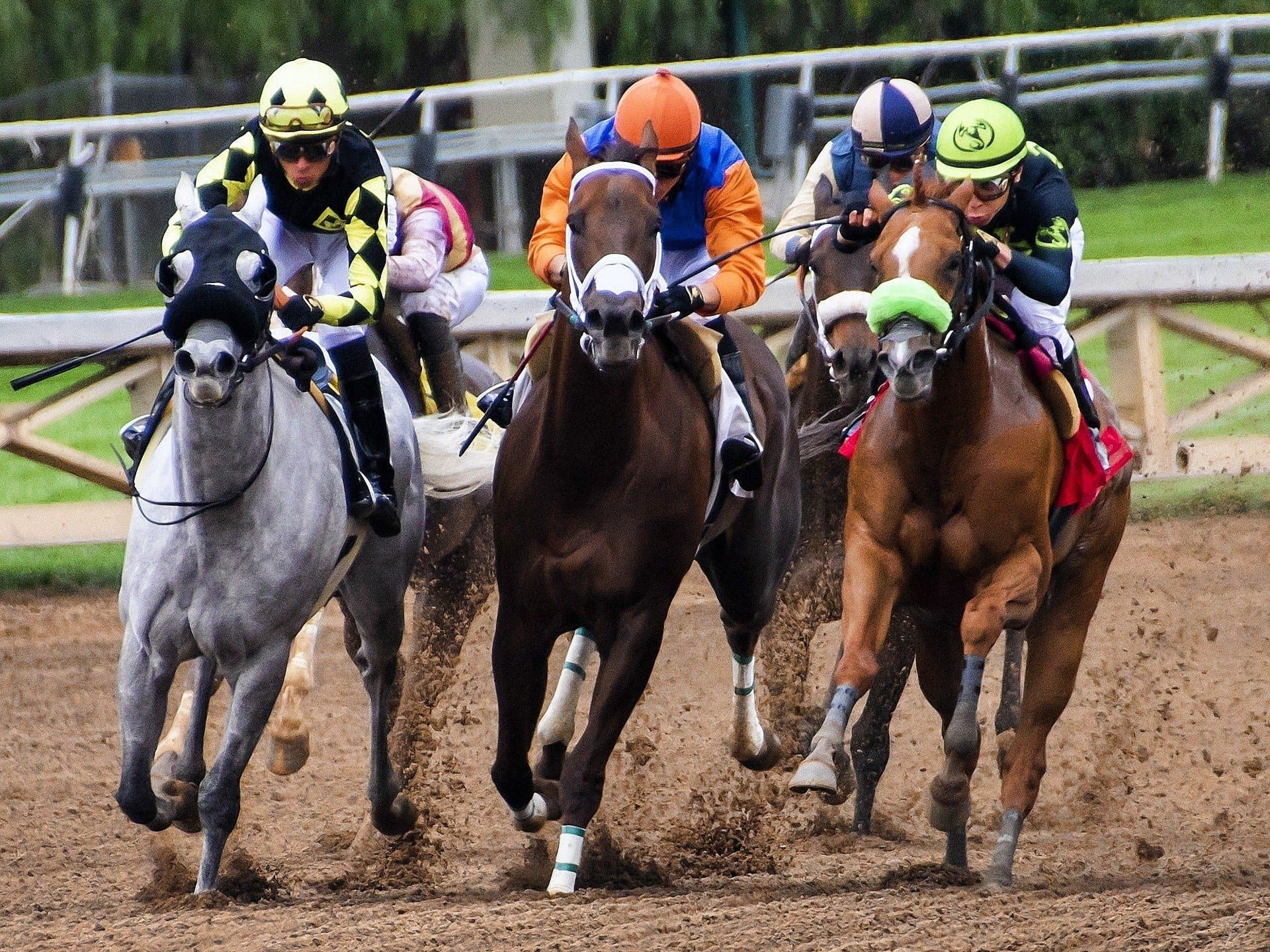 Ayr Gold Cup Festival