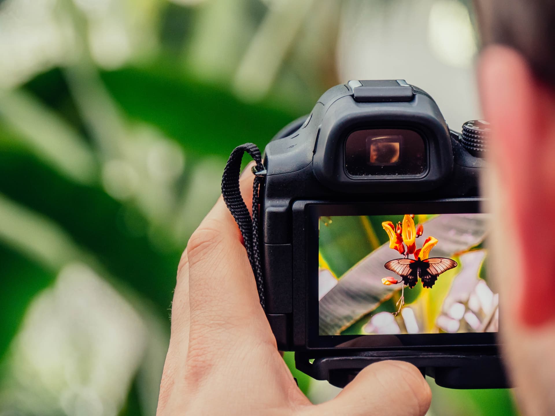 Catch The Bug For Macro Photography