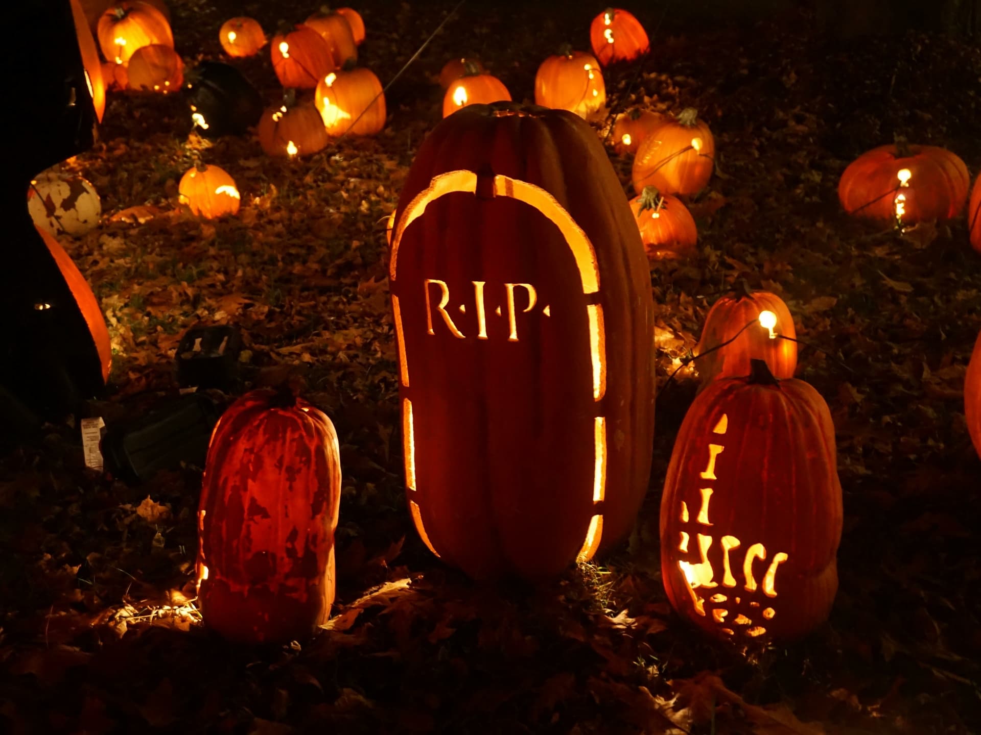 Halloween House Party Sheffield