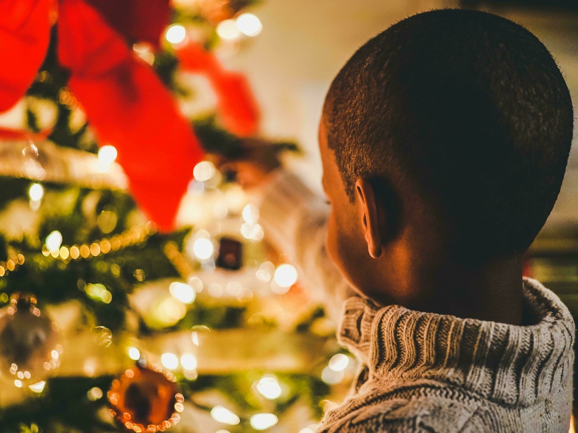Victorian Book Group: The Christmas Hirelings by Mary Elizabeth Braddon