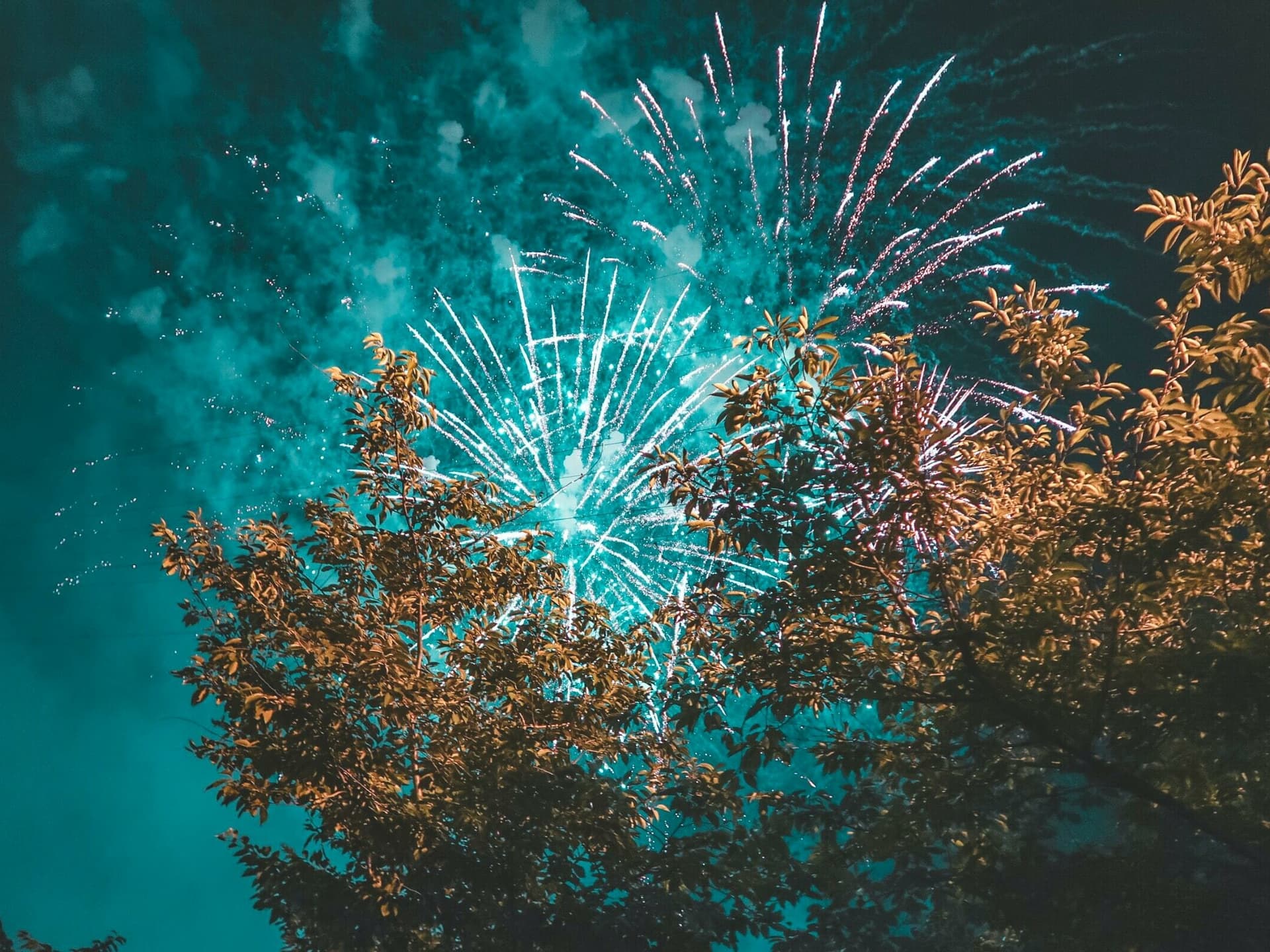 Firework Night 2026